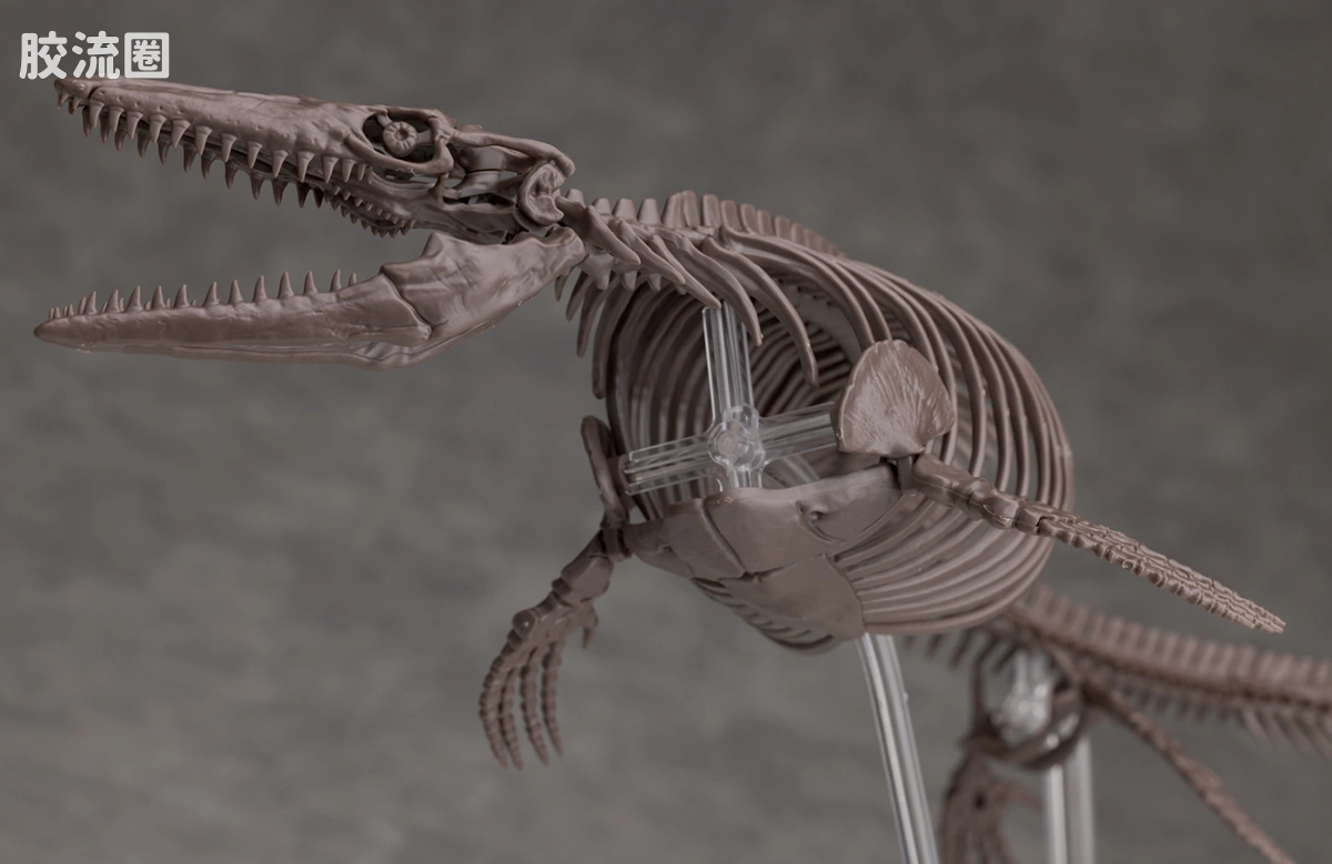 万代综合拼装模型系列 Imaginary Skeleton系列 沧龙 - 图片